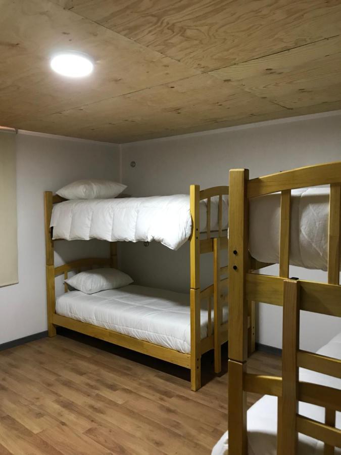 ויה סרו קסטיו Hostel Basecamp Cerro Castillo מראה חיצוני תמונה